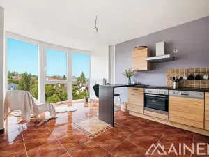 Prodej bytu 2+kk, Plzeň, Klatovská, 43 m2