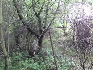 Dražba pozemku pro bydlení, Skuteč, 1714 m2