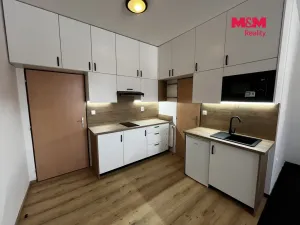 Pronájem bytu 1+kk, Řevničov, Karlovarská, 25 m2