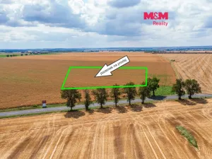 Prodej pozemku, Martiněves - Radešín, 4838 m2