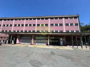 Prodej garážového stání, Plzeň, Tomanova, 12 m2
