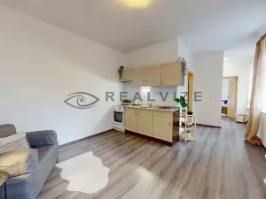 Prodej bytu 2+kk, České Budějovice, Resslova, 30 m2