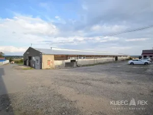Pronájem skladu, Tábor, Pod Kozím hrádkem, 561 m2
