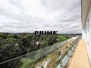 Pronájem bytu 6+kk a větší, Praha - Vinohrady, Chopinova, 204 m2