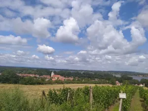 Prodej pozemku pro bydlení, Dolní Věstonice, 834 m2