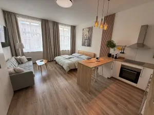 Pronájem bytu 1+kk, Brno, Francouzská, 40 m2