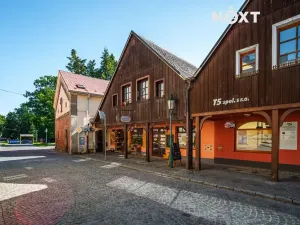 Prodej obchodního prostoru, Vrchlabí, Zámecká, 300 m2