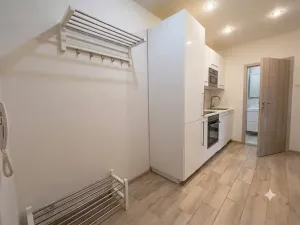 Pronájem bytu 1+kk, Praha - Nové Město, Václavské náměstí, 36 m2