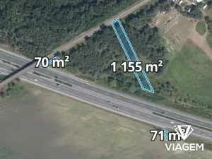 Prodej lesa, Třebestovice, 1231 m2