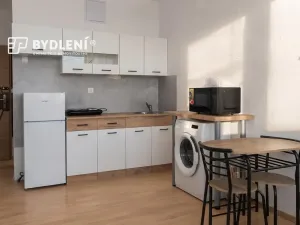 Pronájem bytu 1+kk, Ústí nad Labem, Hoření, 22 m2