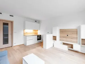 Pronájem bytu 1+kk, Praha - Vysočany, Bassova, 34 m2