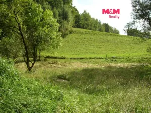 Prodej louky, Janův Důl, 2749 m2