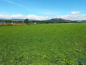 Prodej louky, Police nad Metují, 8790 m2
