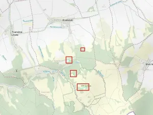 Prodej louky, Kněždub, 6886 m2