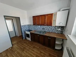 Pronájem bytu 1+1, Zabrušany, 45 m2