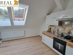 Pronájem bytu 1+kk, Šebrov-Kateřina, 44 m2