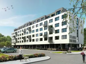 Pronájem kanceláře, Ostrava, Pavlovova, 17 m2