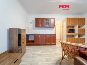 Prodej bytu 1+kk, Plzeň - Severní Předměstí, Sokolovská, 28 m2