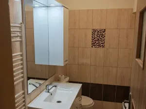 Pronájem bytu 1+1, Odry, Ke koupališti, 38 m2