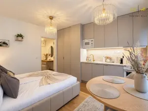 Pronájem bytu 1+kk, Brno, Bratislavská, 25 m2