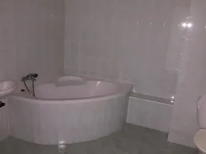 Pronájem bytu 2+kk, Kralupy nad Vltavou, Přemyslova, 42 m2