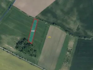 Prodej pole, Dašice, 5921 m2