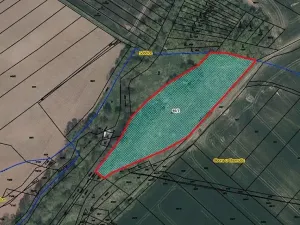Prodej louky, Chomutice, 8619 m2
