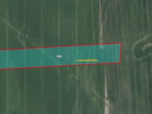 Prodej podílu pole, Rychnovek, 1423 m2