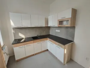 Pronájem bytu 1+1, Prostějov, 41 m2