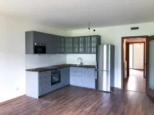 Pronájem bytu 2+kk, Praha - Žižkov, Hartigova, 61 m2