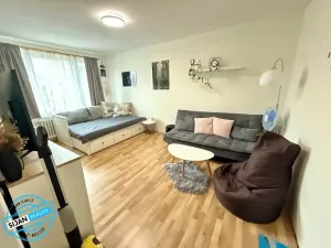 Pronájem bytu 1+1, Opava, 38 m2