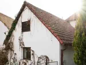 Prodej rodinného domu, Podmokly, 98 m2