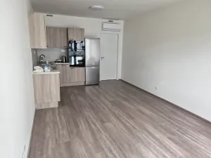 Pronájem bytu 3+kk, Praha - Žižkov, Malešická, 71 m2