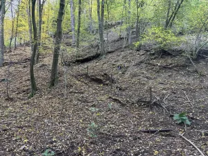 Prodej pozemku pro bydlení, Štěchovice, 852 m2