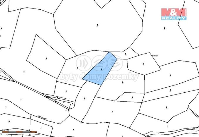 Prodej lesa, Přechovice, 4046 m2