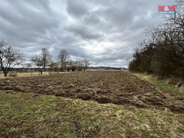 Prodej zahrady, Cizkrajov - Holešice, 1159 m2