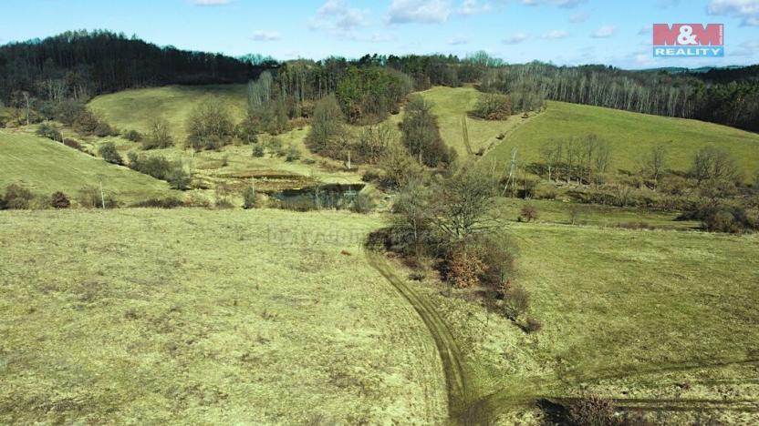 Prodej trvalého travního porostu, Mirošovice, 5881 m2