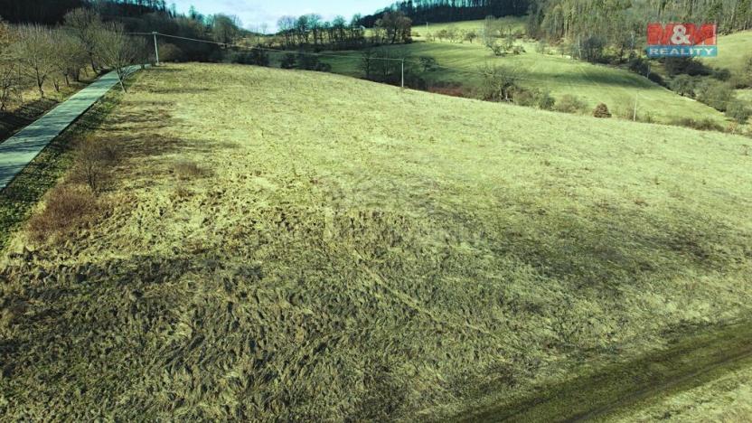 Prodej trvalého travního porostu, Mirošovice, 5881 m2