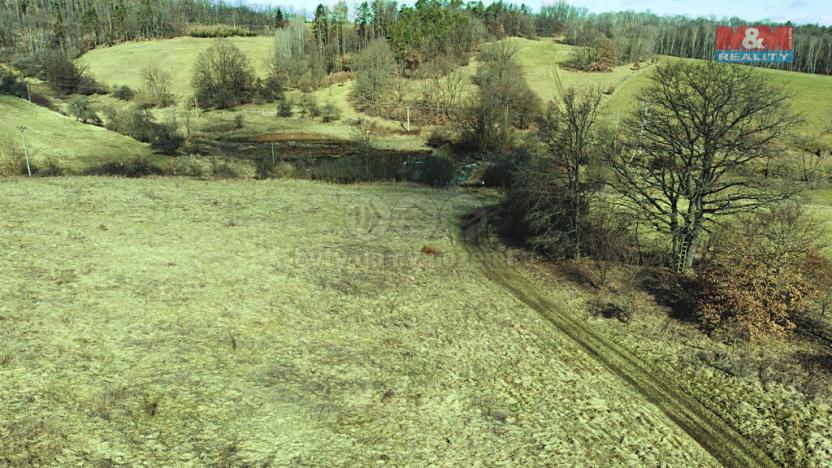 Prodej trvalého travního porostu, Mirošovice, 5881 m2