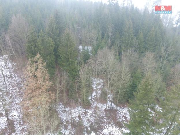 Prodej lesa, Řetová, 89634 m2