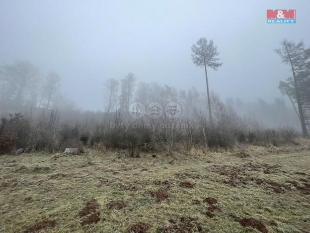 Prodej lesa, Stará Paka, 20974 m2