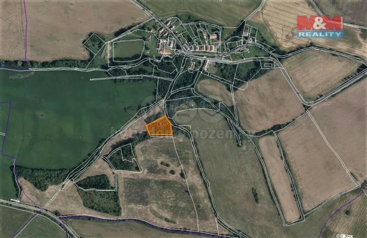 Prodej lesa, Mašťov, 4840 m2