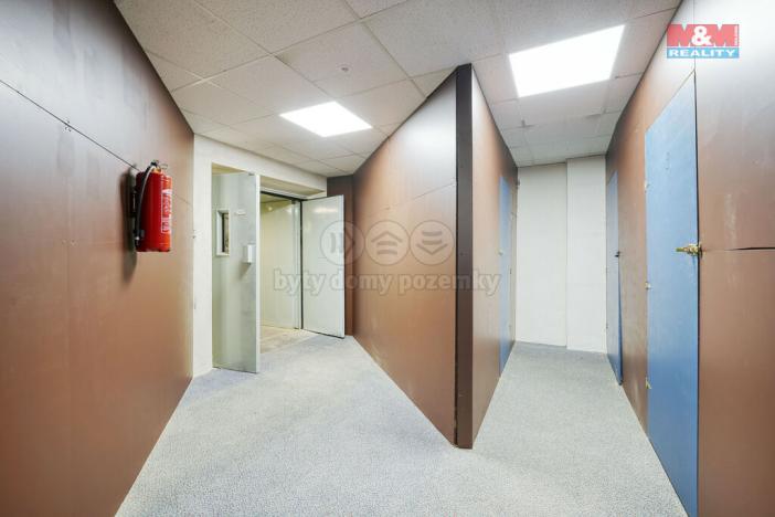 Pronájem skladu, Plzeň - Východní Předměstí, Americká, 10 m2