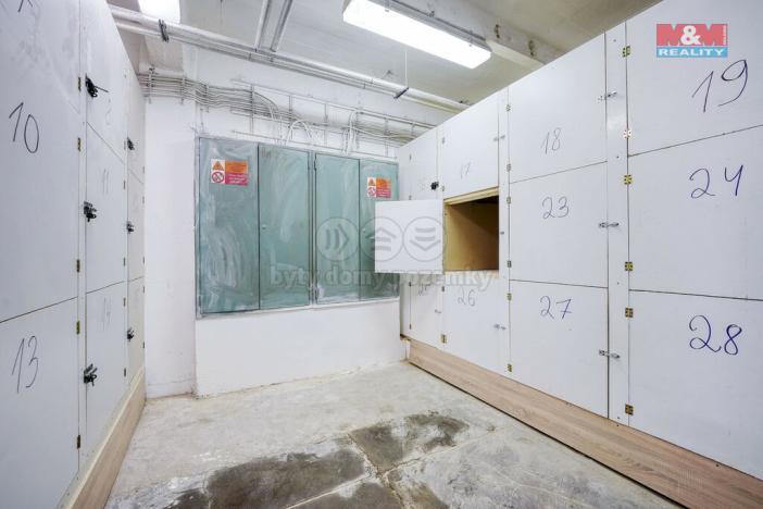 Pronájem skladu, Plzeň - Východní Předměstí, Americká, 10 m2