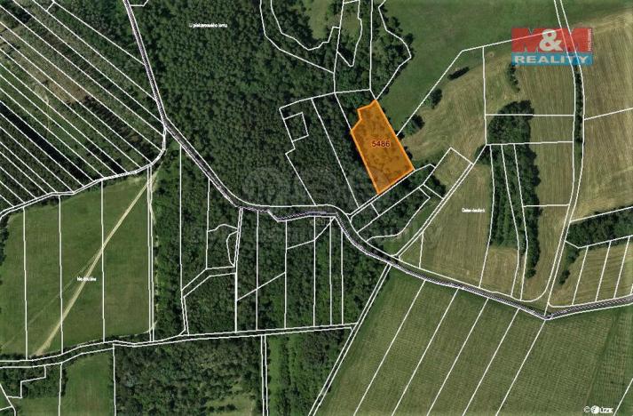 Prodej trvalého travního porostu, Borotín, 4646 m2