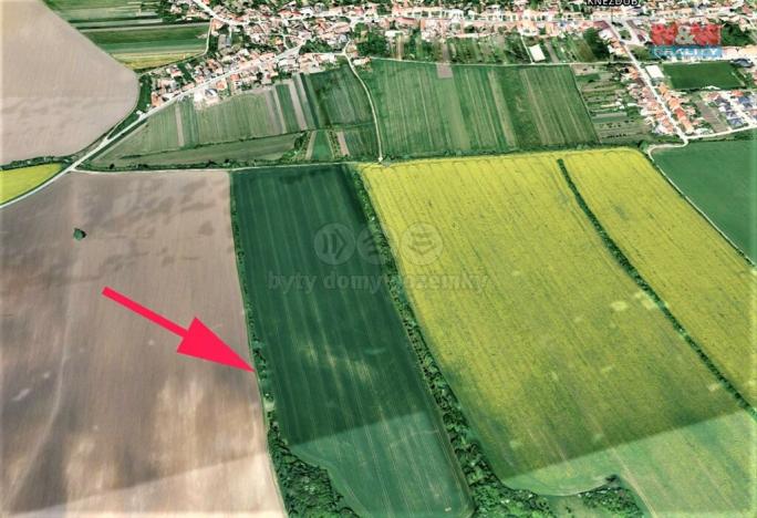 Prodej zemědělské půdy, Kněždub, 1981 m2