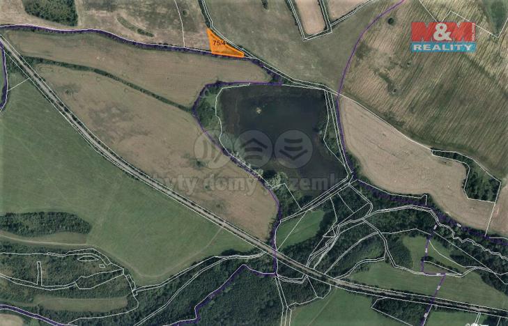 Prodej trvalého travního porostu, Mašťov - Dobřenec, 2603 m2