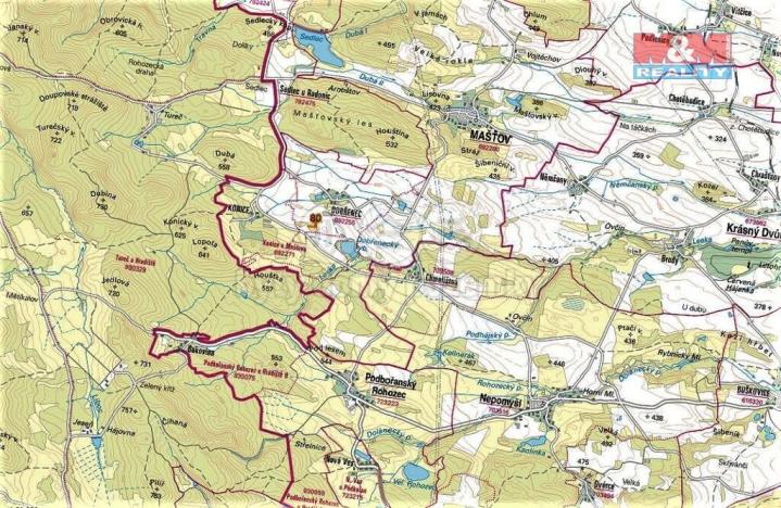 Prodej trvalého travního porostu, Mašťov - Dobřenec, 9839 m2