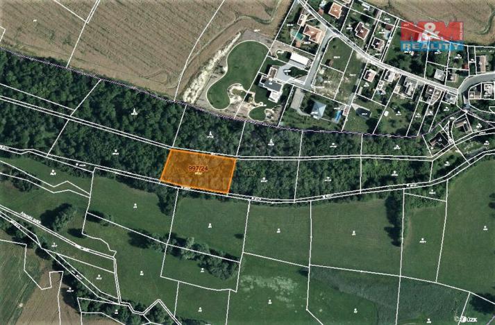 Prodej trvalého travního porostu, Skuteč, 2985 m2