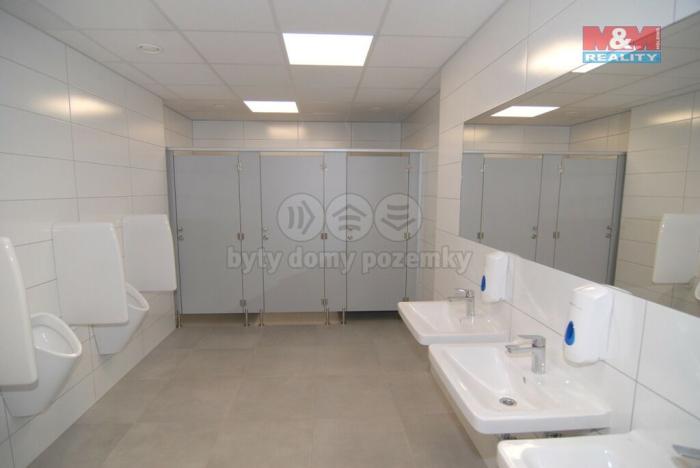 Pronájem kanceláře, Ostrava - Moravská Ostrava, Masarykovo náměstí, 110 m2